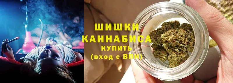 где продают   Курчатов  Бошки марихуана VHQ 